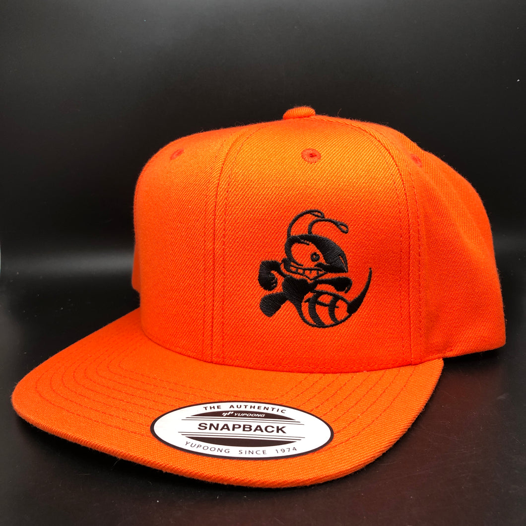 Discraft Buzzz Design snapback hat