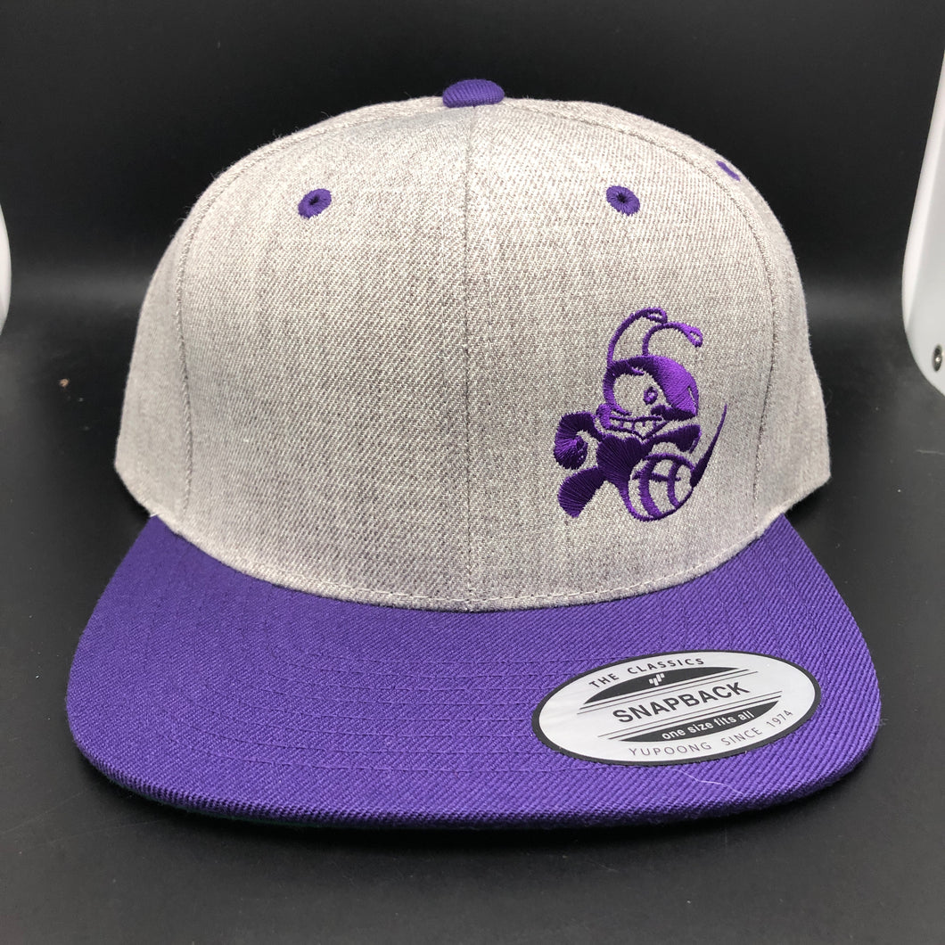 Discraft Two Tone Snapback Hat Buzzz Design